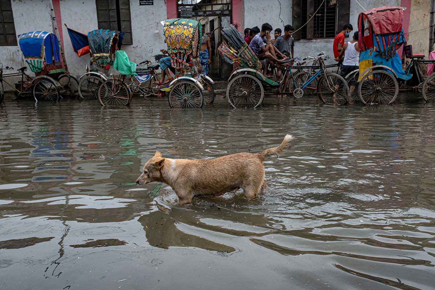 Human Suffering Due to Waterlogging – Md Sazzadul Alam